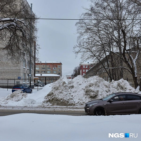 Местные шутят, что из новогоднего у них только сугробы и плохо очищенные тротуары | Источник: Александр Ощепков / NGS.RU