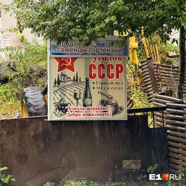 Источник: Дарья Костомина / E1.RU