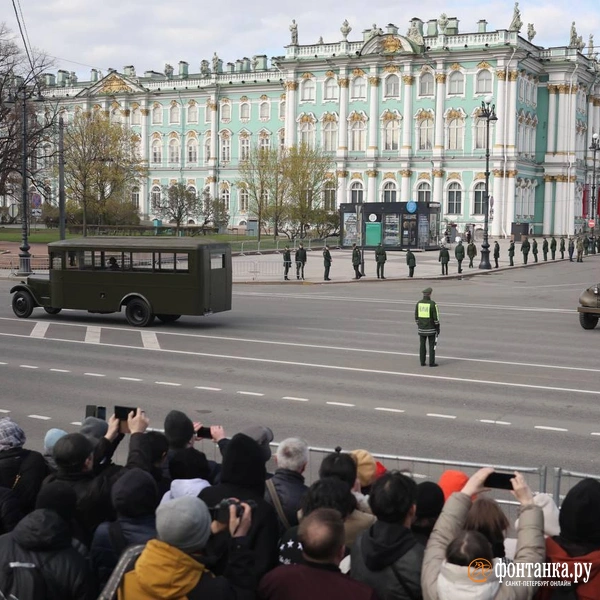 Источник: Дарья Драй / «Фонтанка.ру»