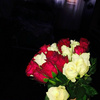 userpic__كاتيا خميدوفا
