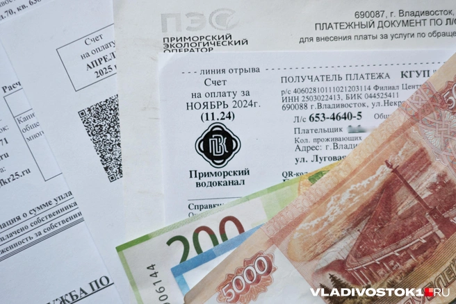 В некоторых регионах размер скидки достигает 50% | Источник: Елена Буйвол / VLADIVOSTOK1.RU