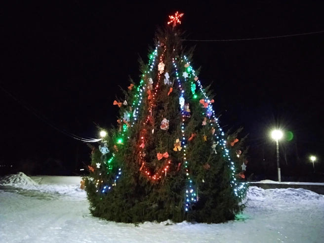 Власти Ульяновска призвали отметить Новый год скромно | Источник: Дмитрий Сильнов / 173. RU