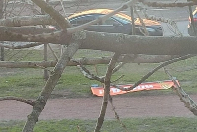 Сильный ветер в Петербурге опрокинул туалеты и светофоры