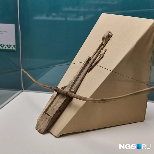 На выставке можно увидеть разное оружие  | Источник: Александр Ощепков / NGS.RU
