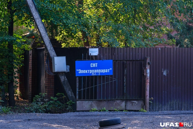 Еще один местный сад | Источник: Булат Салихов / UFA1.RU