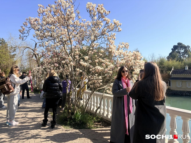 У населения упала покупательская способность | Источник: Анна Грицевич / SOCHI1.RU