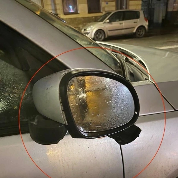 Источник: ГУ Росгвардии по Санкт-Петербургу и Лен.области