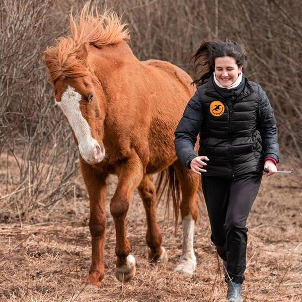 Источник: Школа Свободных Лошадей/koneterapia.ru
