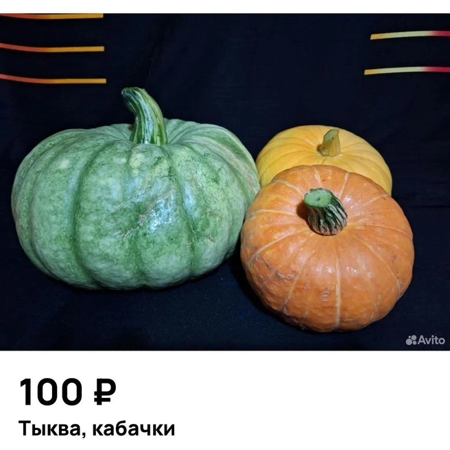 Началась пора осенних овощей | Источник: Avito.ru