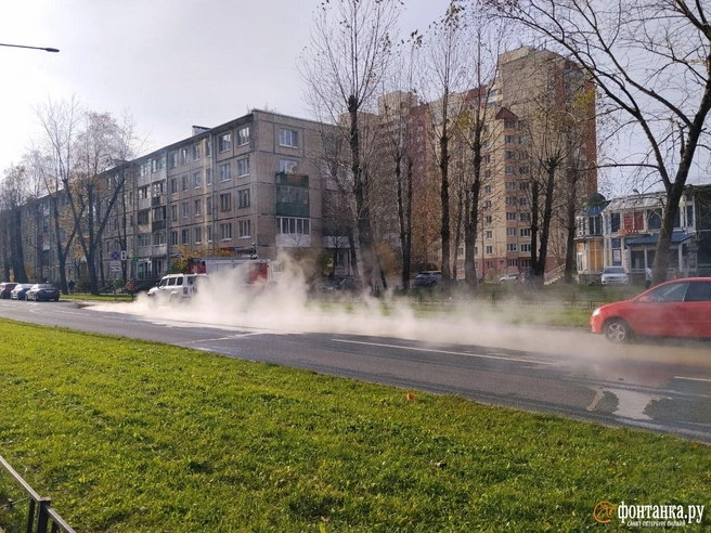 Горячая вода разлилась по проезжей части | Источник: читатель «Фонтанки»