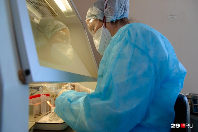 Из-за разных факторов могут быть ложноположительные или ложноотрицательные пробы | Источник: Иван Митюшёв / 29.RU