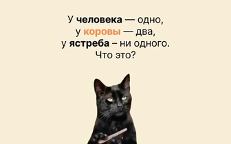 Логическая задачка для детей, которая заставляет страдать взрослых: сможете решить?