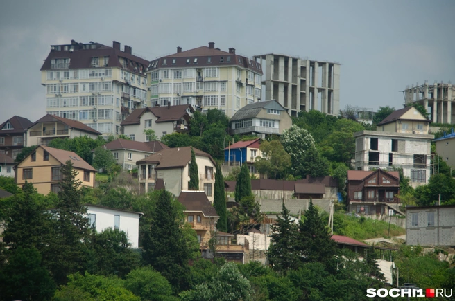 В Сочи практически нет прямых улиц. Все они извилисты  | Источник: Оксана Витязь