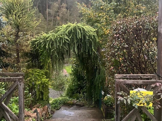 Редкие растения, которые Вере привозят из-за границы, она приспосабливает к суровому алтайскому климату | Источник: Вера Фукс