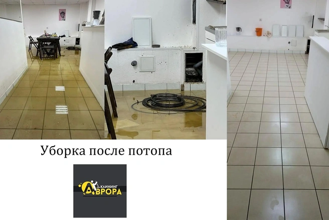 На время уборки хозяевам пришлось переехать в съемное жилье | Источник: «Аврора-Клининг»