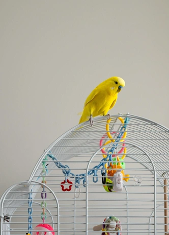 Источник: Катя Самойлович. Стиль: Милана Колодник 