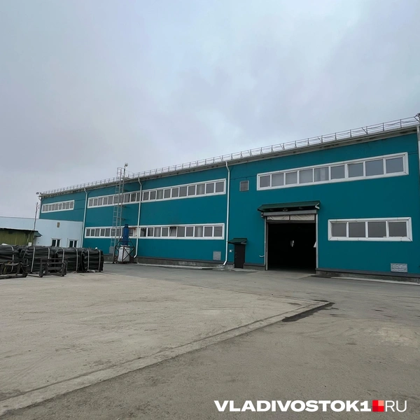 Источник: Елена Буйвол / VLADIVOSTOK1.RU