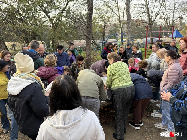 Жители оставили подписи за отставку мэра | Источник: Валерия Дульская / 93.RU