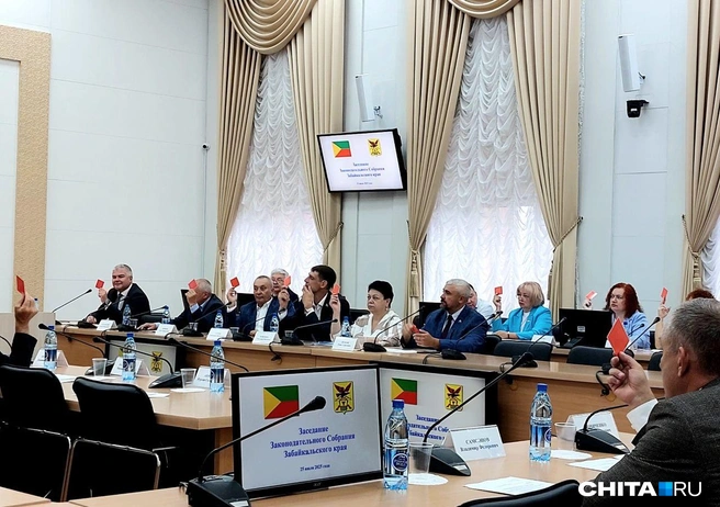Всего на пленарном заседании присутствовали 33 депутата | Источник: Наталья Володькина / CHITA.RU