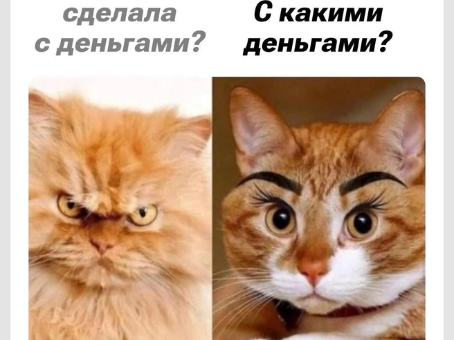 Её что-то выдаёт | Источник: Городские медиа