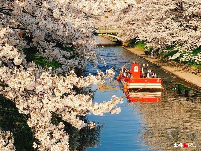 Якутянка любит рассказывать о культуре и природе Японии | Источник: Вида Ефремова