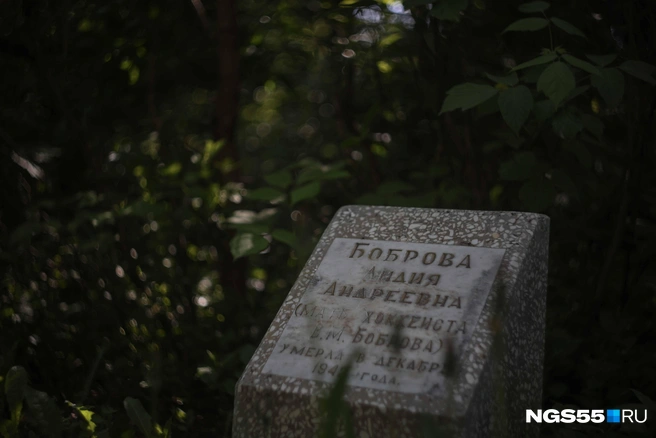 Лидия Андреевна приехала с мужем из Ленинграда в годы ВОВ | Источник: Евгений Софийчук / NGS55.RU