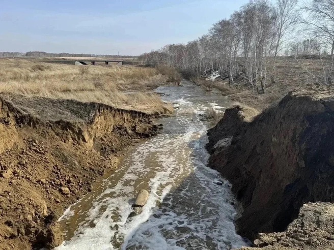 Компания, которая возводила дамбу, обанкротилась | Источник: «Прокуратура Омской области» / max.ru