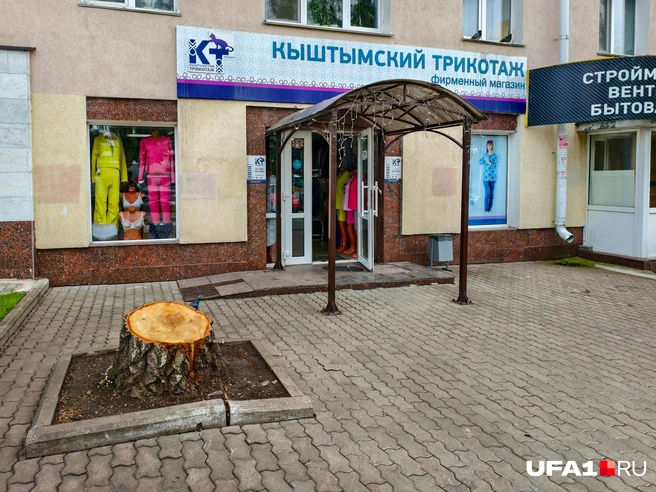Но зато на них можно посидеть, подумать | Источник: Булат Салихов / UFA1.RU
