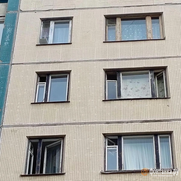 Источник: Ирина Корбат / «Фонтанка.ру»