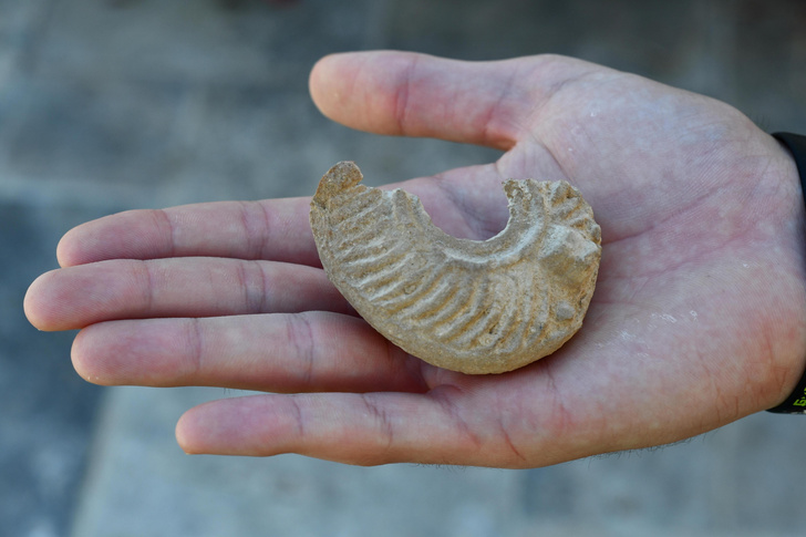 1600-летний артефакт: что нашел израильский старшеклассник, от скуки разглядывая камни в пустыне?