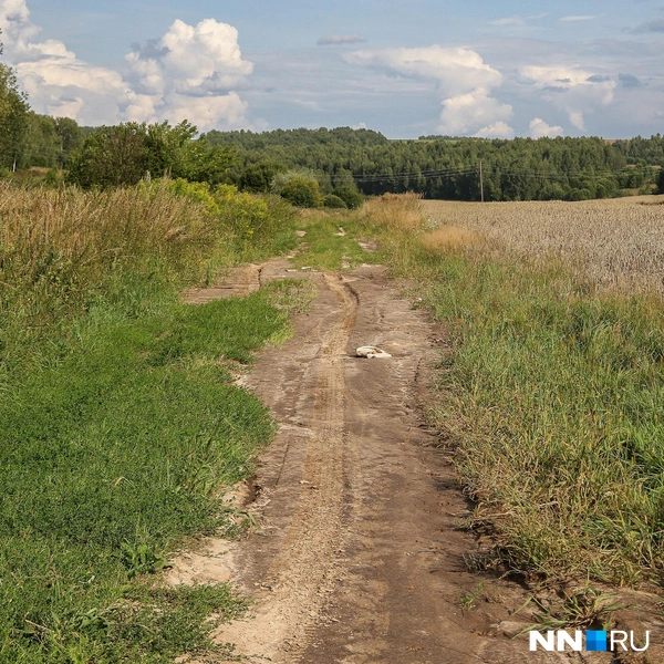 Дорога, ведущая к Поляне, с тех пор совсем не изменилась | Источник: Наталья Бурухина / NN.RU