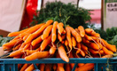 Растет как на дрожжах: 4 способа подкормить морковь «домашними» удобрениями
