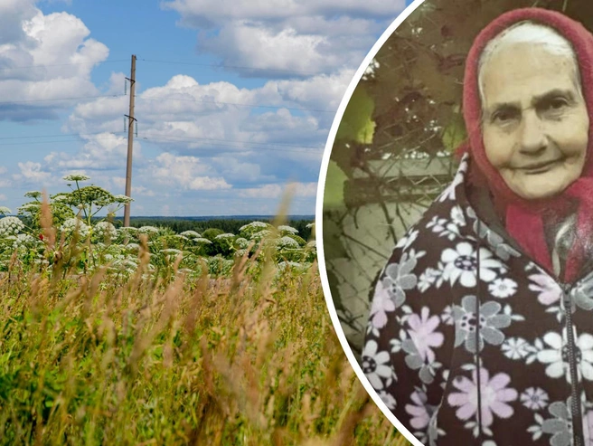 Поиски ведутся с 30 июля | Источник: Александра Мамонтова / 76.RU; форум поискового отряда «Лиза Алерт»