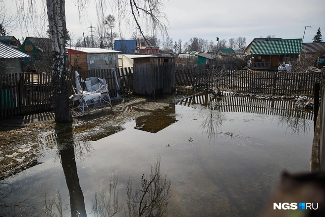 На некоторых огородах посадить можно разве что рис или гаолян | Источник: Александр Ощепков / NGS.ru