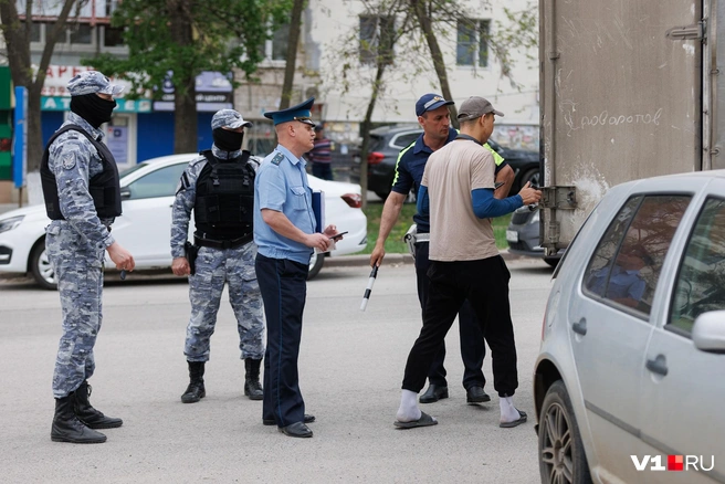 «Документы на груз имеются? Откройте фургон, пожалуйста…» | Источник: Алексей Волхонский / V1.RU