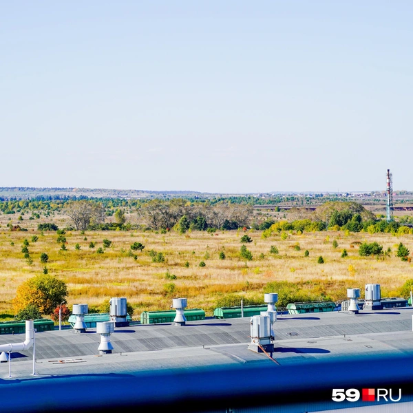 Поля за пределами предприятия  | Источник: Репсиме Зурнаджян / 59.RU