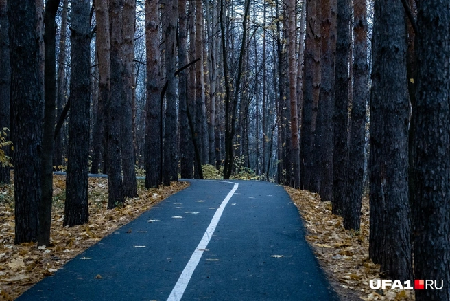 Ноябрь | Источник: Булат Салихов / UFA1.RU