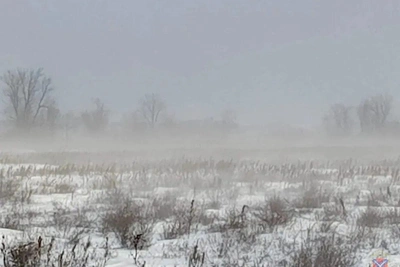 В Заволжье ищут чабана, потерявшегося в буран