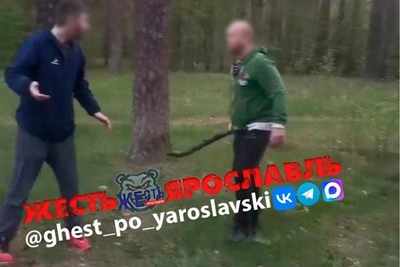 Ярославец избит палкой после замечания хозяйке овчарки