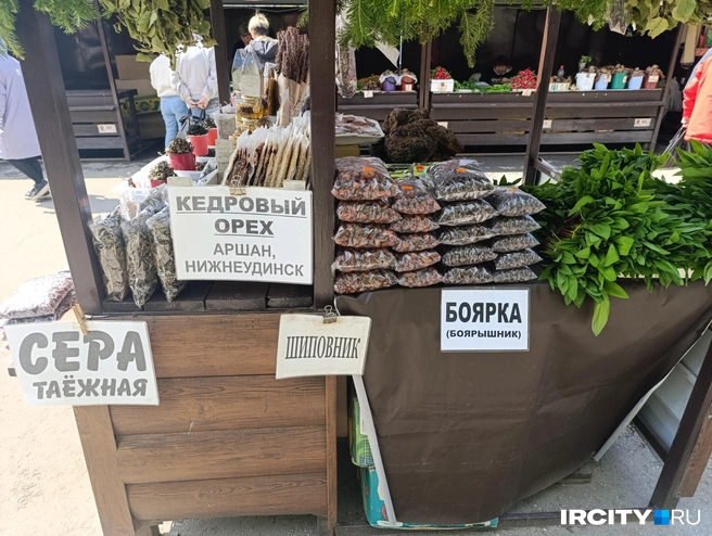 Выбор довольно большой | Источник: Даниил Конин / «ИрСити»