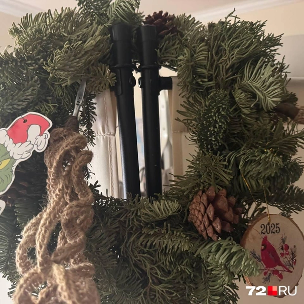 Источник: Читатель 72.RU