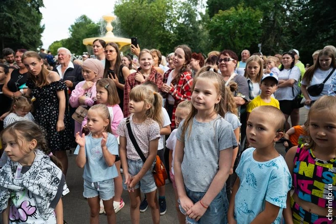 Источник: st.cherinfo.ru