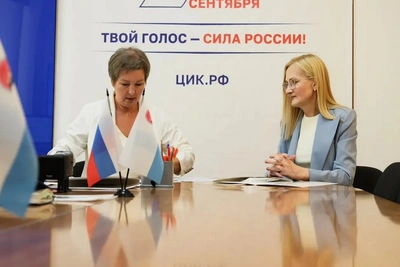Ирина Яровая подала документы на регистрацию кандидатом