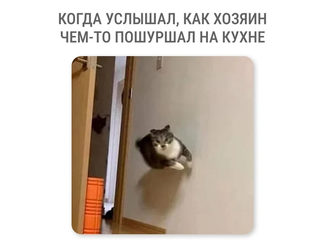А вдруг съедобное? | Источник: Мария Романова / Городские медиа