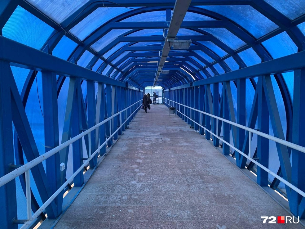 Зато есть мусорка | Источник: Никита Кифорук / 72.RU