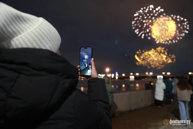 Проблема салютов остается актуальной уже несколько лет | Источник: Сергей Михайличенко / FONTANKA.RU
