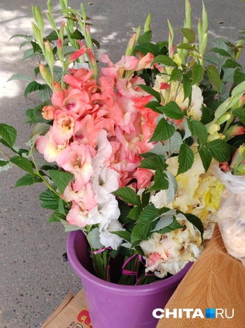 Источник: Дарья Кливенкова / CHITA.RU