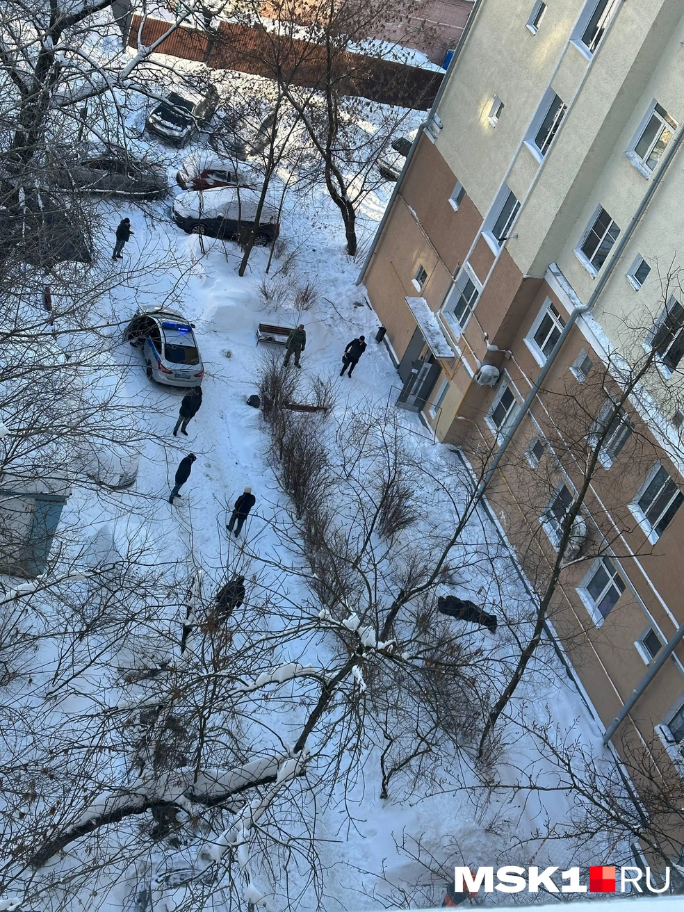 Территорию у трупа огородили. На месте работают криминалисты | Источник: Андрей Кузнецов / MSK1.RU