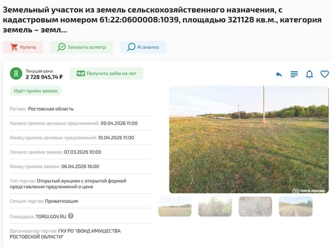 Источник: торги-россии.рф