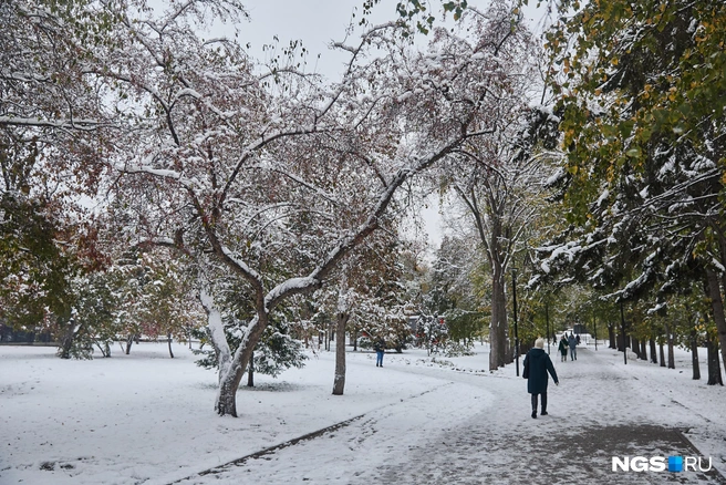 Снег начался в пятницу | Источник: Александр Ощепков / NGS.RU